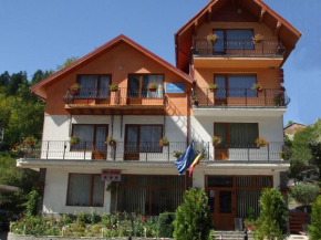 Отель Vila Ana-Maria, Синая